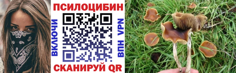 как найти закладки  Дербент  Псилоцибиновые грибы MAGIC MUSHROOMS 