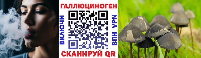 Псилоцибиновые грибы GOLDEN TEACHER Дербент